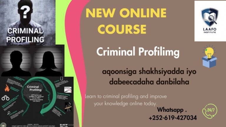 International Relations: How Countries Maintain Peace and Cooperation