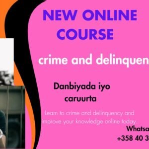 Crime Delinquency Study- Barashada Cilmiga Danbiyada caruurta galaan