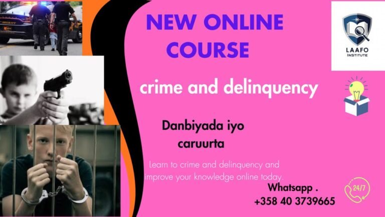 Crime Delinquency Study- Barashada Cilmiga Danbiyada caruurta galaan