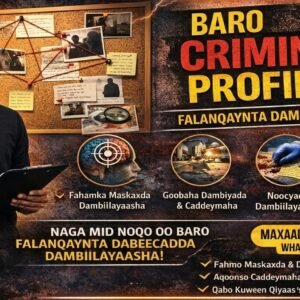 Criminal Profiling Skills - Aqoonsiga Shaqsiyada & Dabiicadaha Dambiilaha